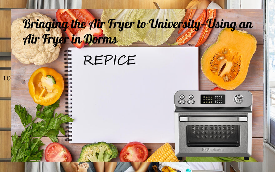 Bringing the Air Fryer to University—Using an Air Fryer in Dorms