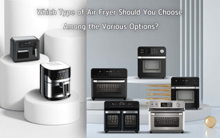 Which Type of Air Fryer Should You Choose Among the Various Options?