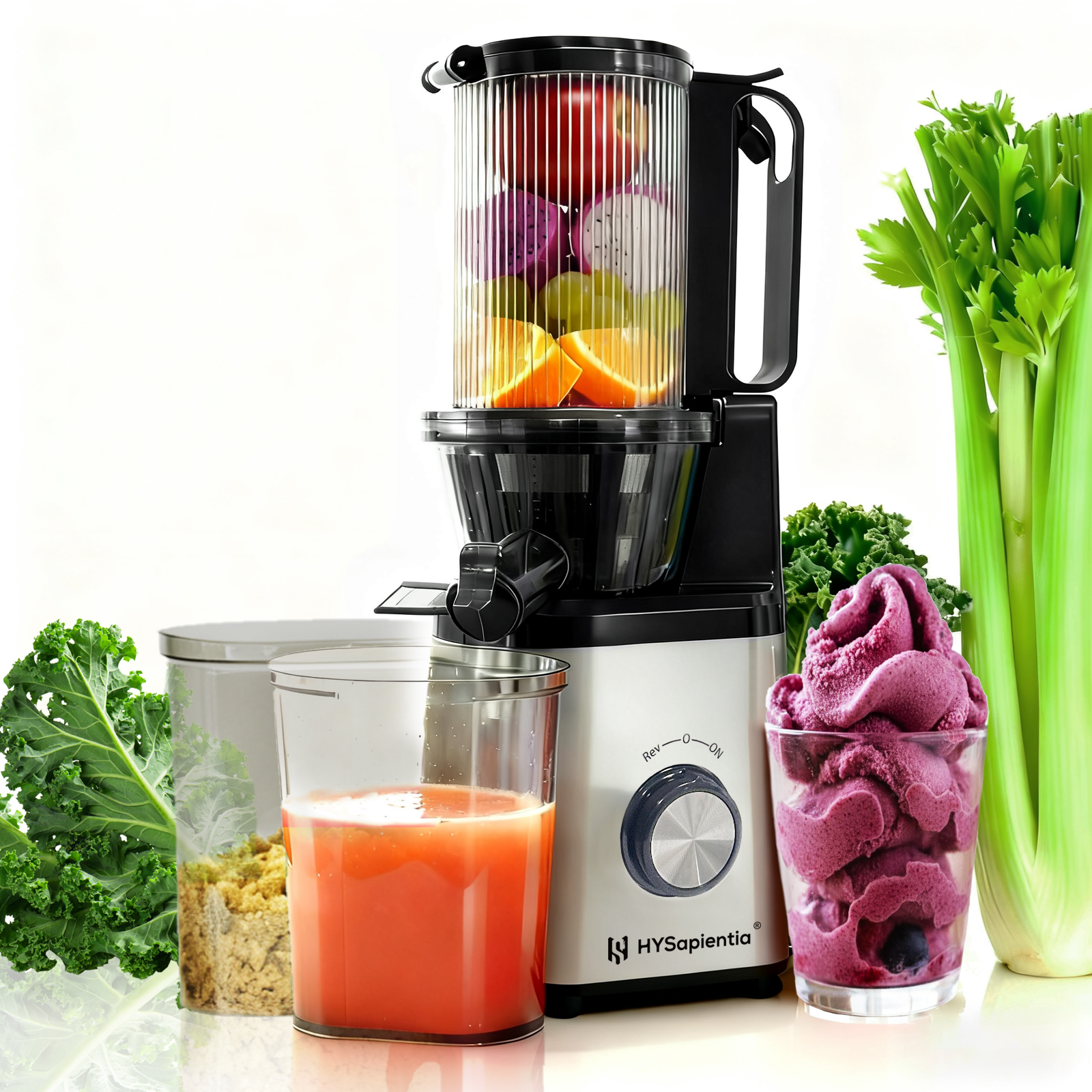 HYSapientia 4-Inch Cold Press Juicer Machines